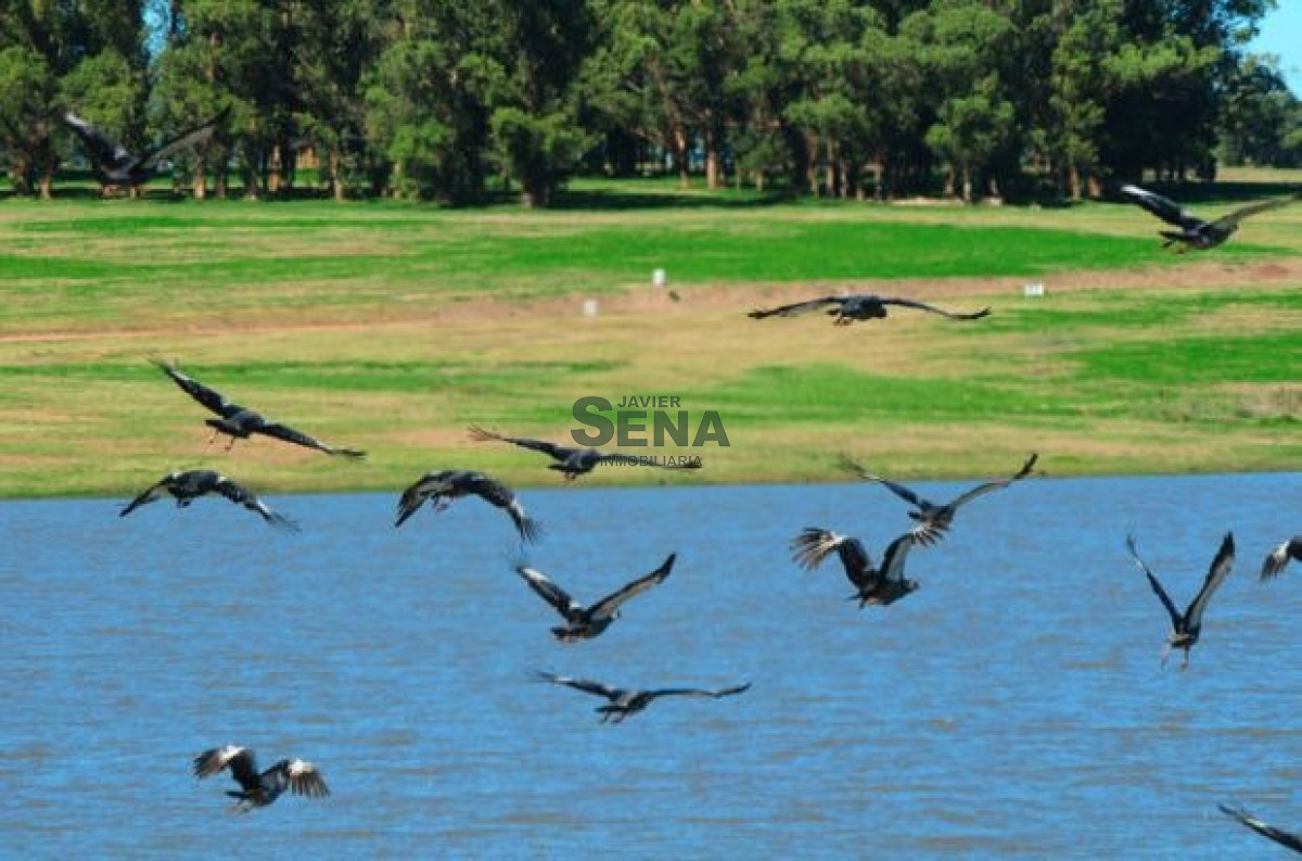 Laguna del Sauce - GoPunta - Portal Inmobiliario de Punta del Este - Maldonado