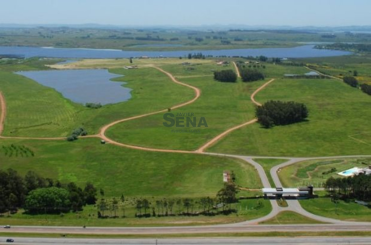 Laguna del Sauce - GoPunta - Portal Inmobiliario de Punta del Este - Maldonado