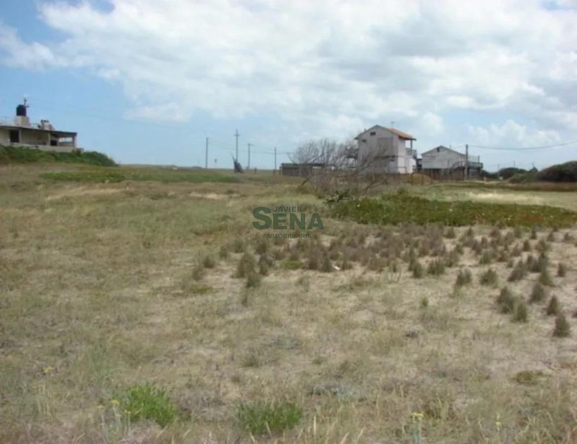 Santa Monica - GoPunta - Portal Inmobiliario de Punta del Este - Maldonado