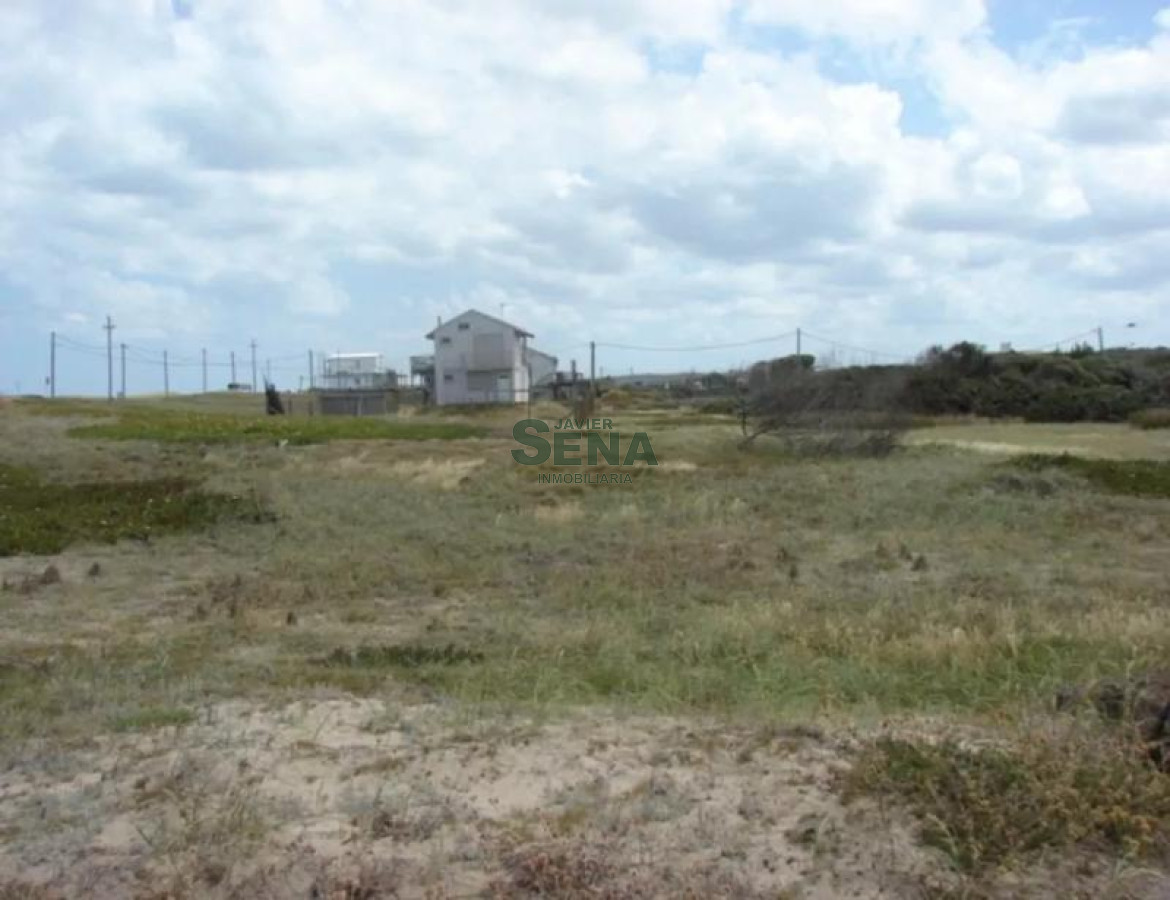 Santa Monica - GoPunta - Portal Inmobiliario de Punta del Este - Maldonado