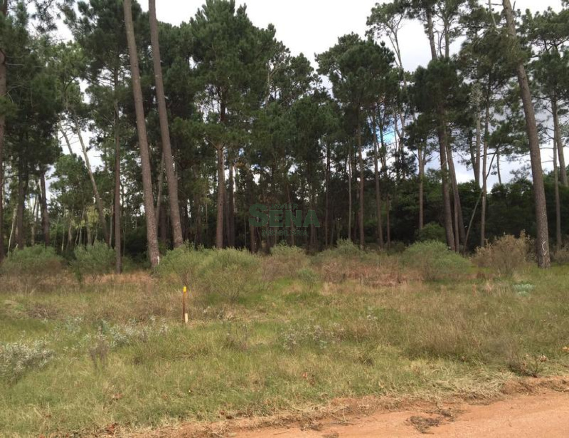 Pinares - GoPunta - Portal Inmobiliario de Punta del Este - Maldonado