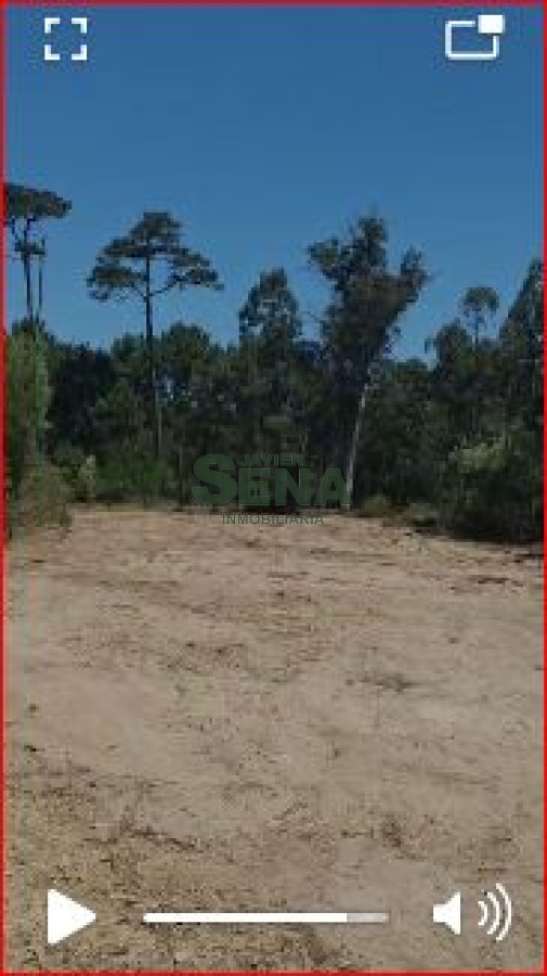 Burnett - GoPunta - Portal Inmobiliario de Punta del Este - Maldonado