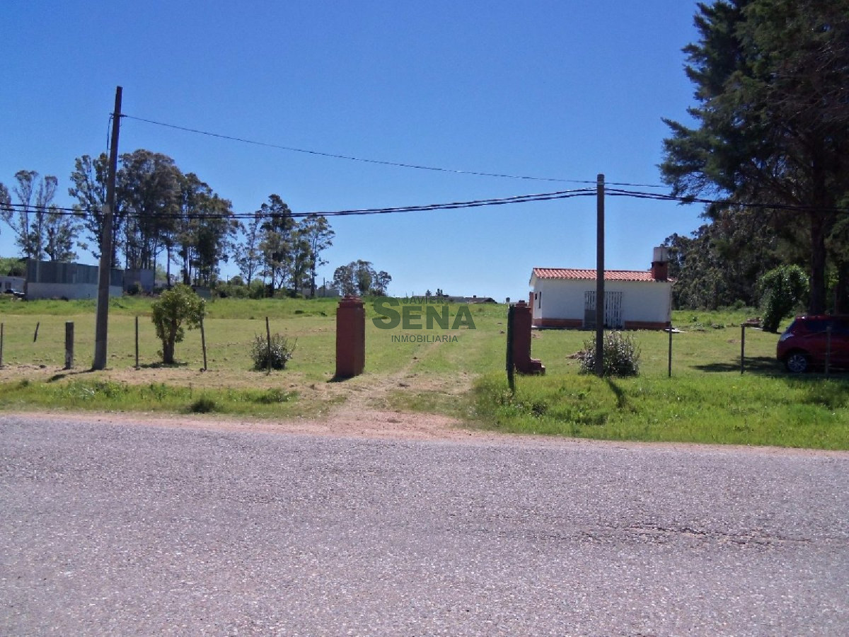 Los Aromos - GoPunta - Portal Inmobiliario de Punta del Este - Maldonado