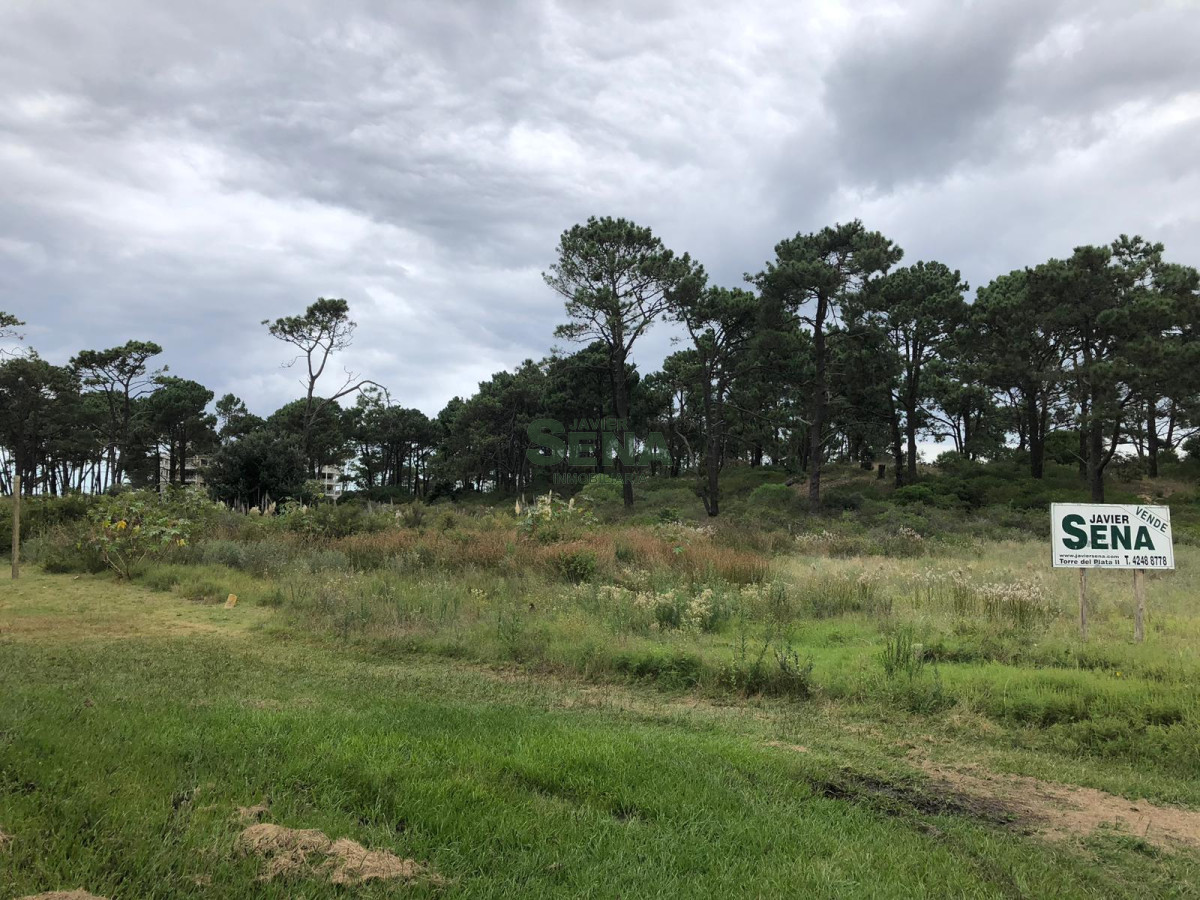 Rincón del Indio - GoPunta - Portal Inmobiliario de Punta del Este - Maldonado