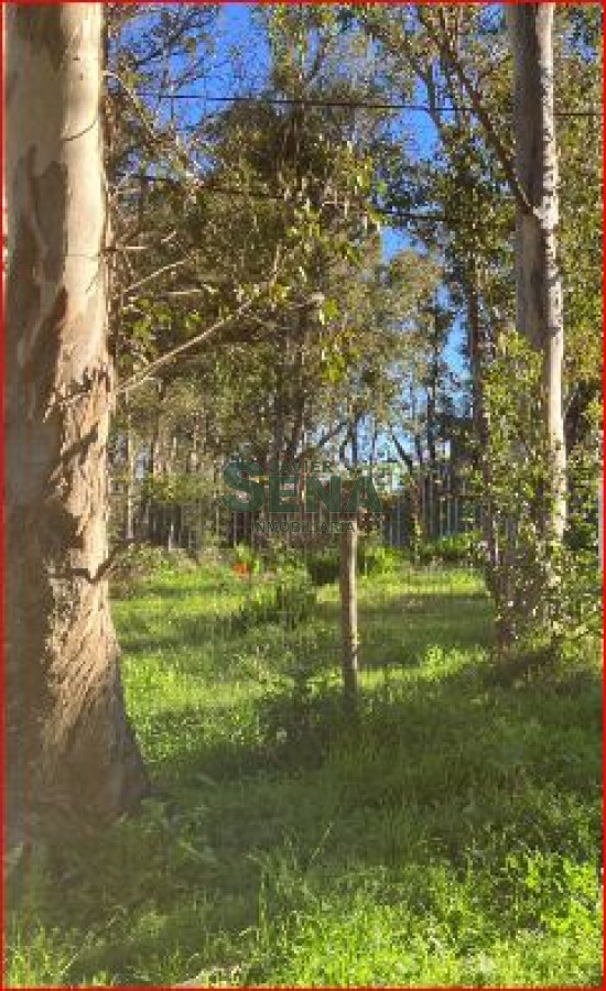 Balneario Buenos Aires - GoPunta - Portal Inmobiliario de Punta del Este - Maldonado