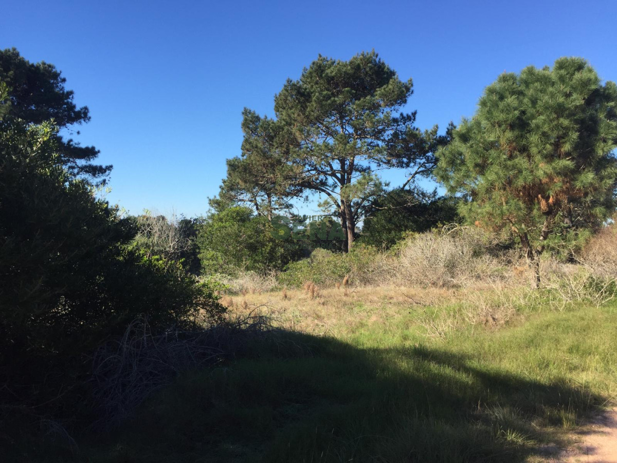 Arenas de José Ignacio - GoPunta - Portal Inmobiliario de Punta del Este - Maldonado