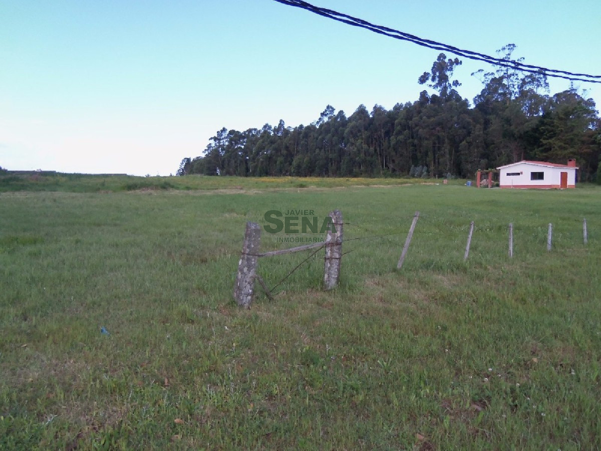 Los Aromos - GoPunta - Portal Inmobiliario de Punta del Este - Maldonado