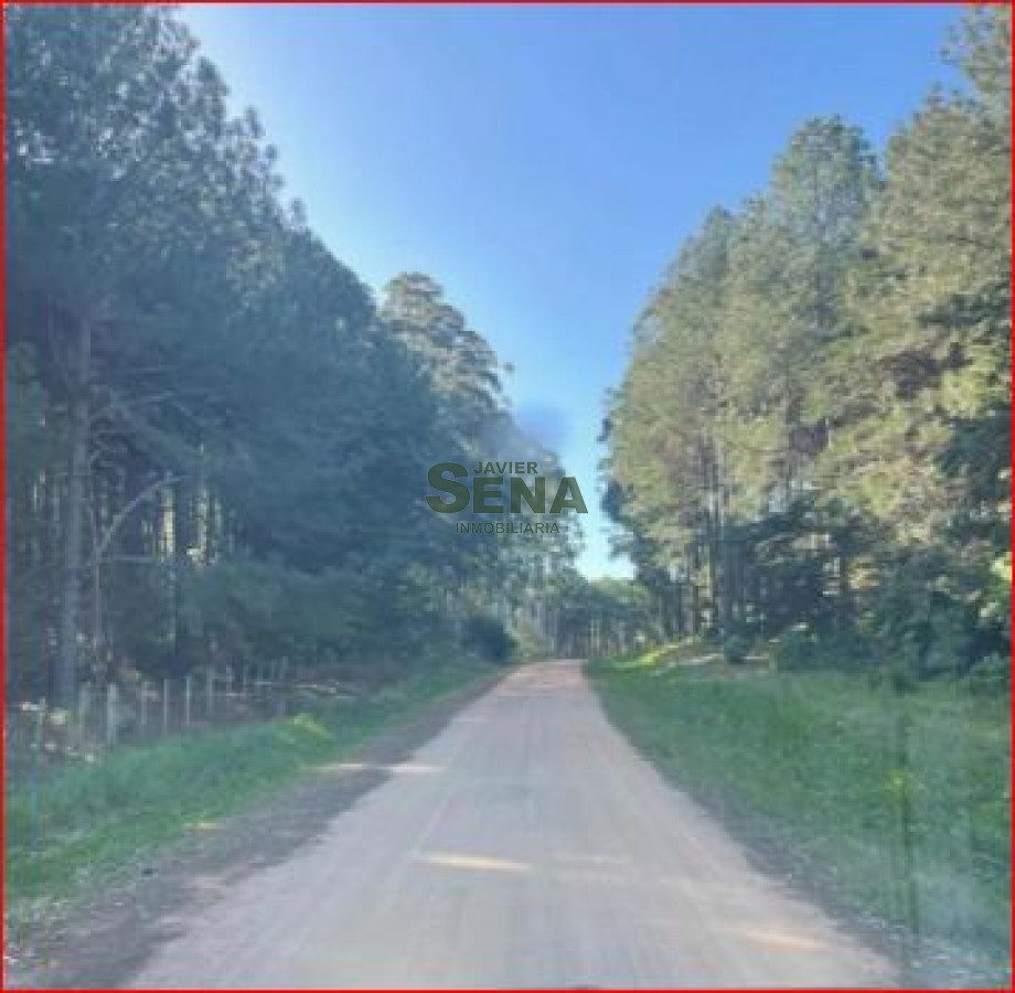 Los Tordillos - GoPunta - Portal Inmobiliario de Punta del Este - Maldonado