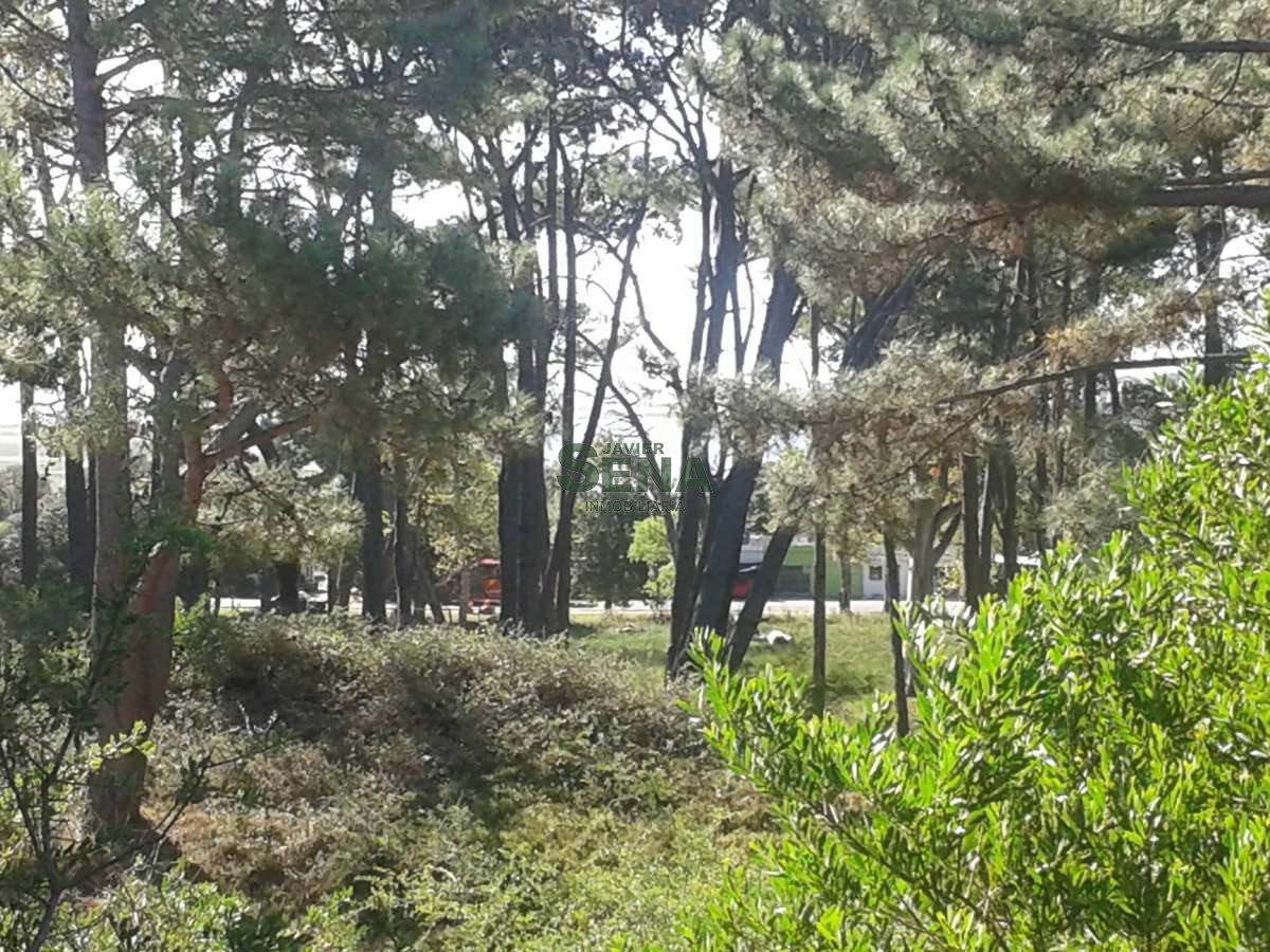 Rincón del Indio - GoPunta - Portal Inmobiliario de Punta del Este - Maldonado