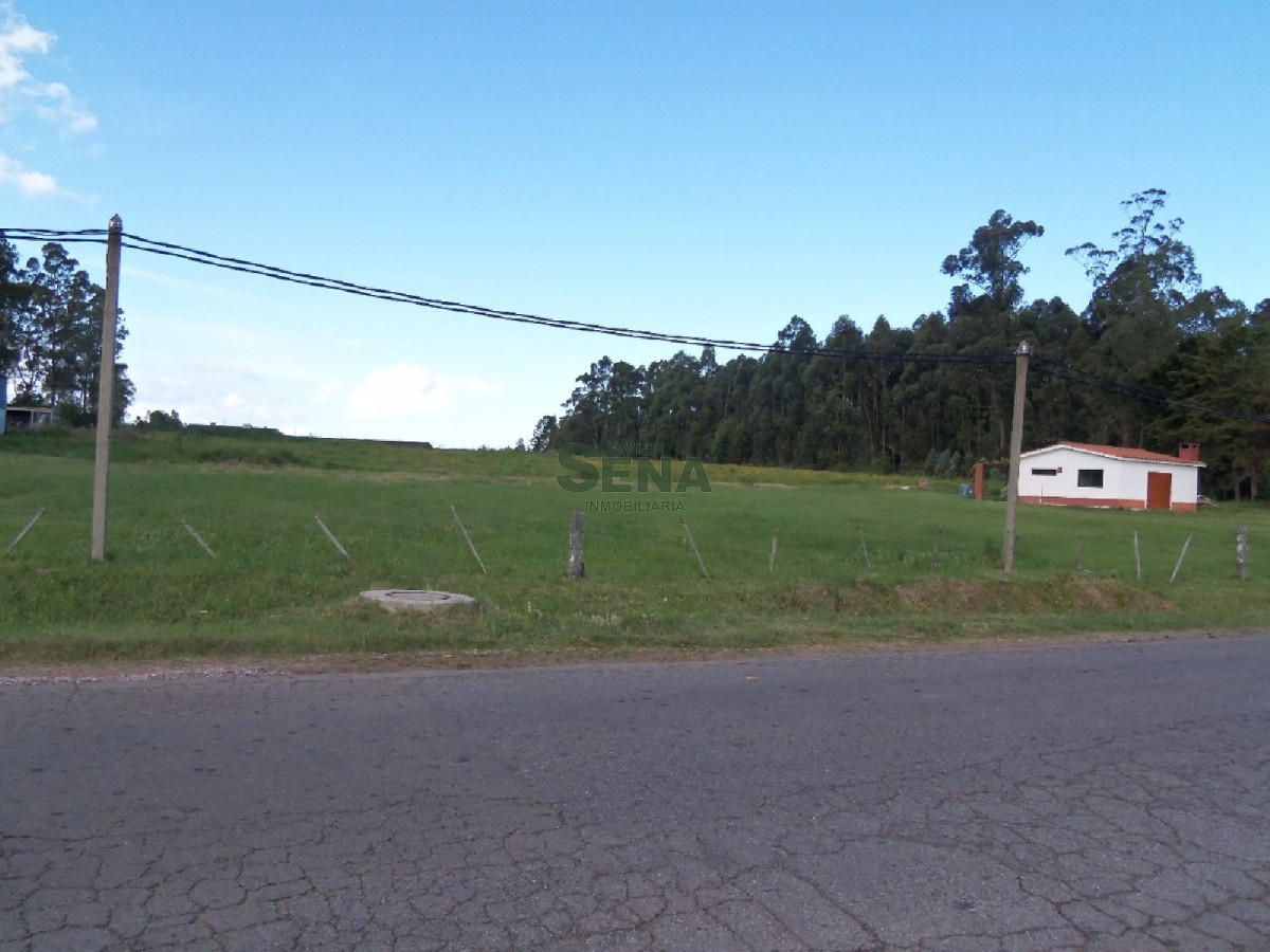 Los Aromos - GoPunta - Portal Inmobiliario de Punta del Este - Maldonado