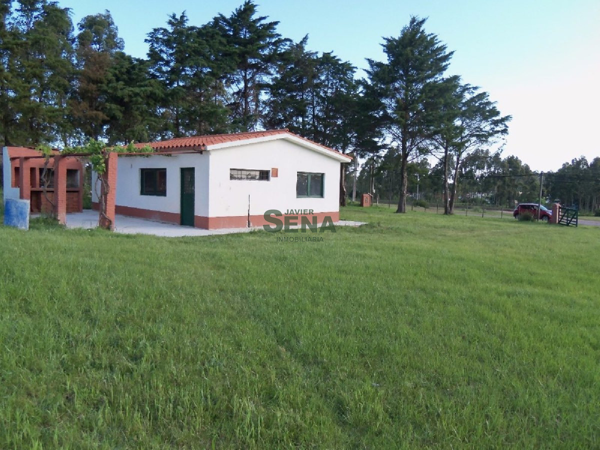 Los Aromos - GoPunta - Portal Inmobiliario de Punta del Este - Maldonado