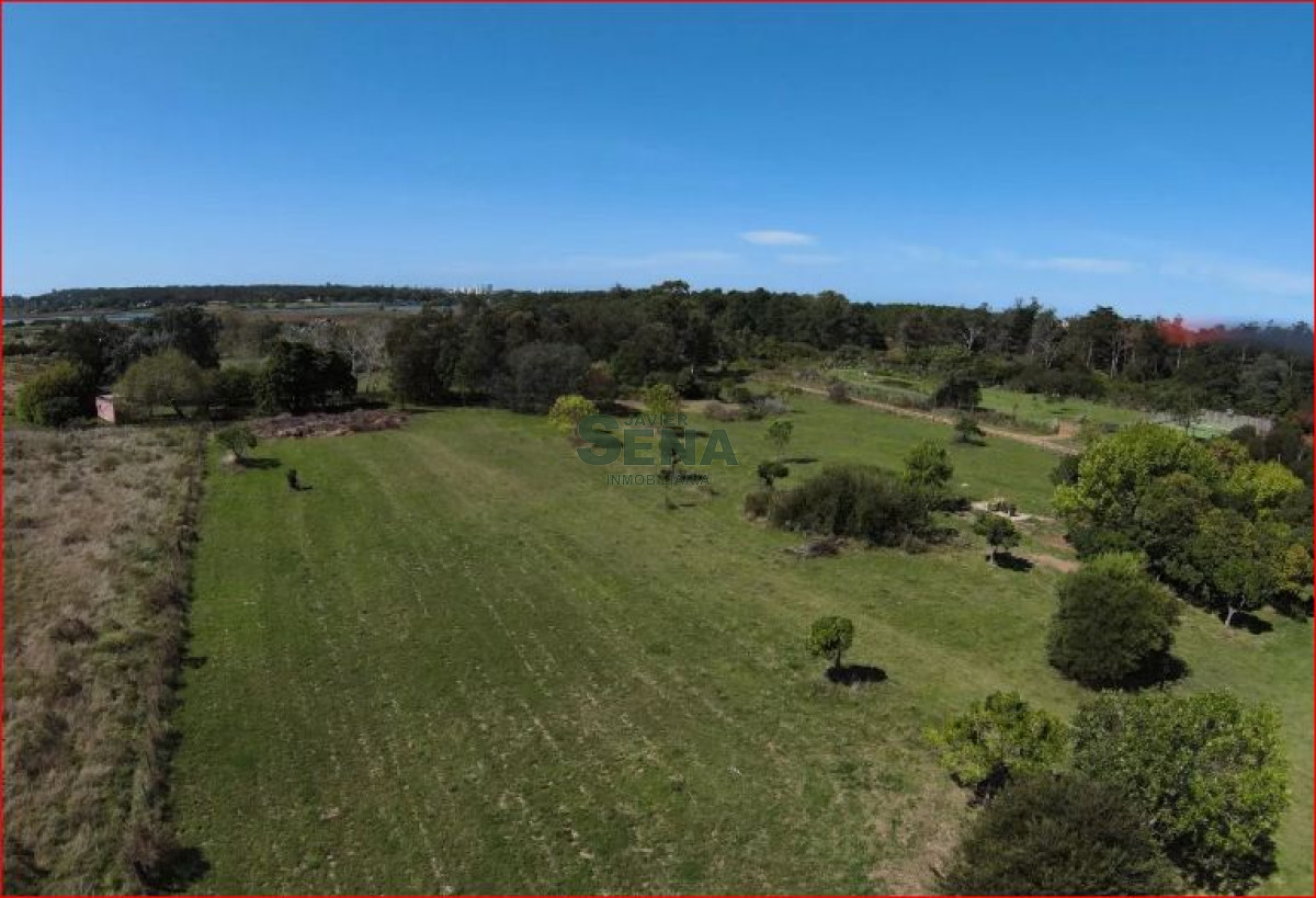 Piedras del Chileno - GoPunta - Portal Inmobiliario de Punta del Este - Maldonado