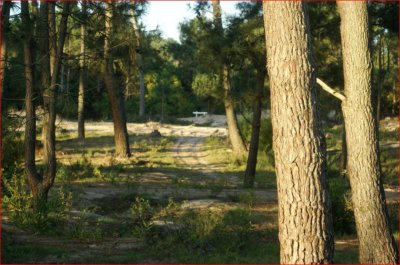 Pinares, Parque Burnet, 1000 m2 de tierra, esquineros y arbolados.  