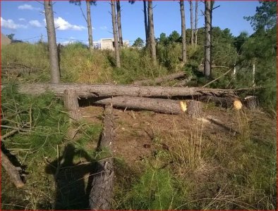 Venta de lote en altos de la laguna, para vivir todo el año.