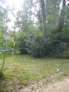 TERRENO DE 500 M2 EN BAL. BUENOS AIRES