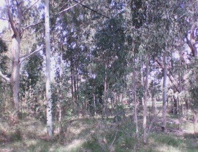 La barra, Terreno en zona tranquila y cerca de todo.c