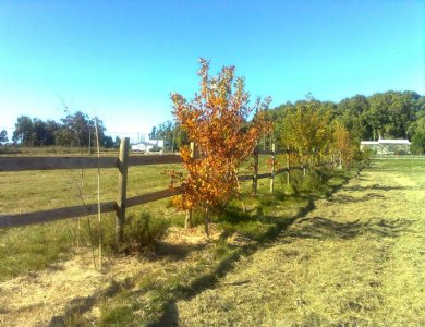 Venta de lote en la barra La Barra, cerca del mar