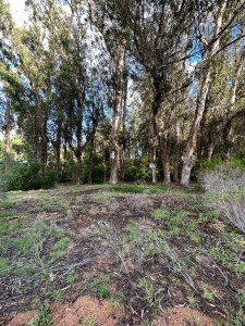 Venta de Tierra en Parque Burnet, 3050m2 de terreno para construir en P.H.