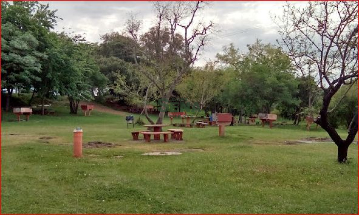 Salto - GoPunta - Portal Inmobiliario de Punta del Este - Maldonado