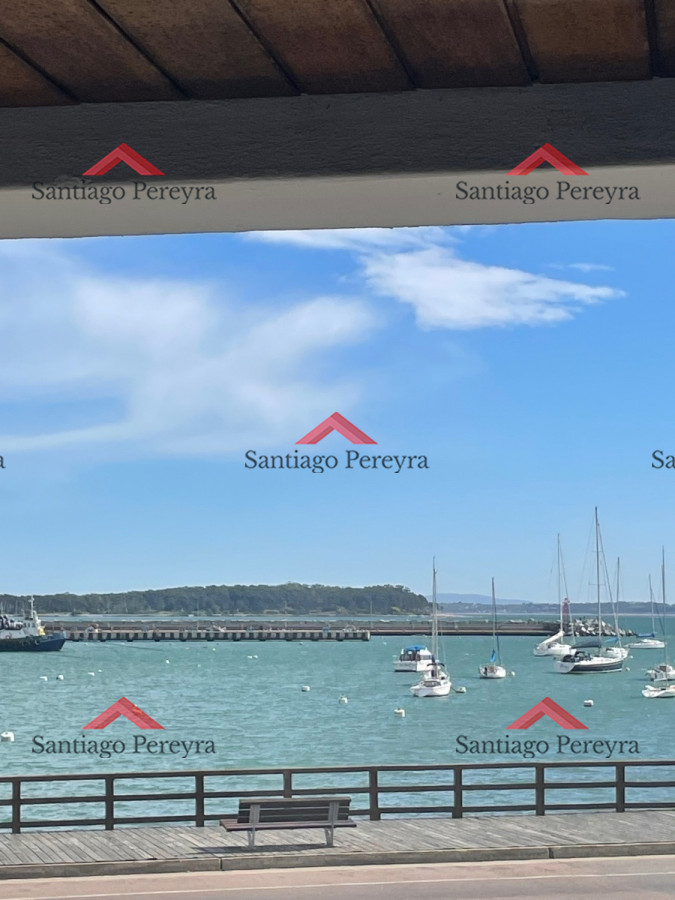 Peninsula - GoPunta - Portal Inmobiliario de Punta del Este - Maldonado