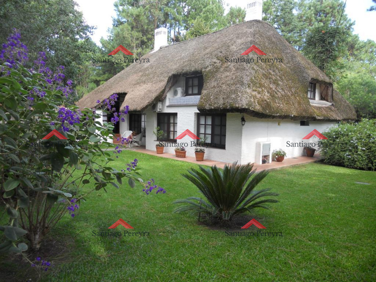Pinares - GoPunta - Portal Inmobiliario de Punta del Este - Maldonado