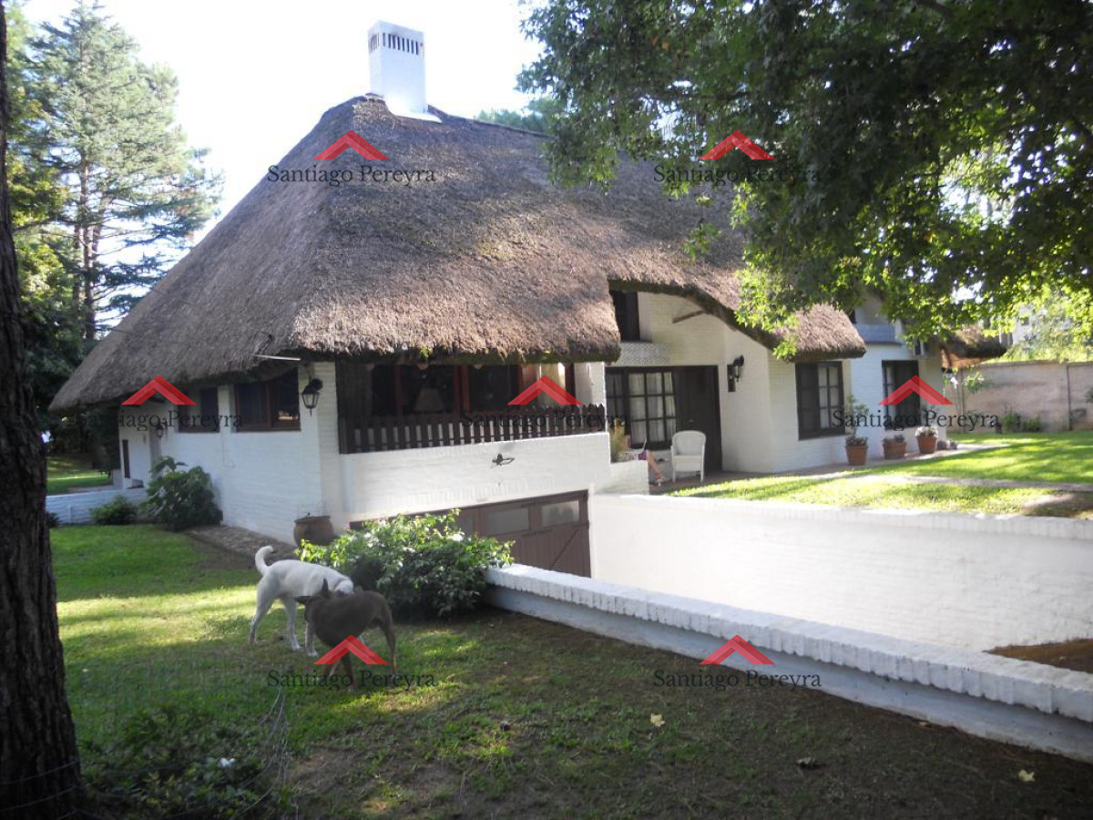 Pinares - GoPunta - Portal Inmobiliario de Punta del Este - Maldonado