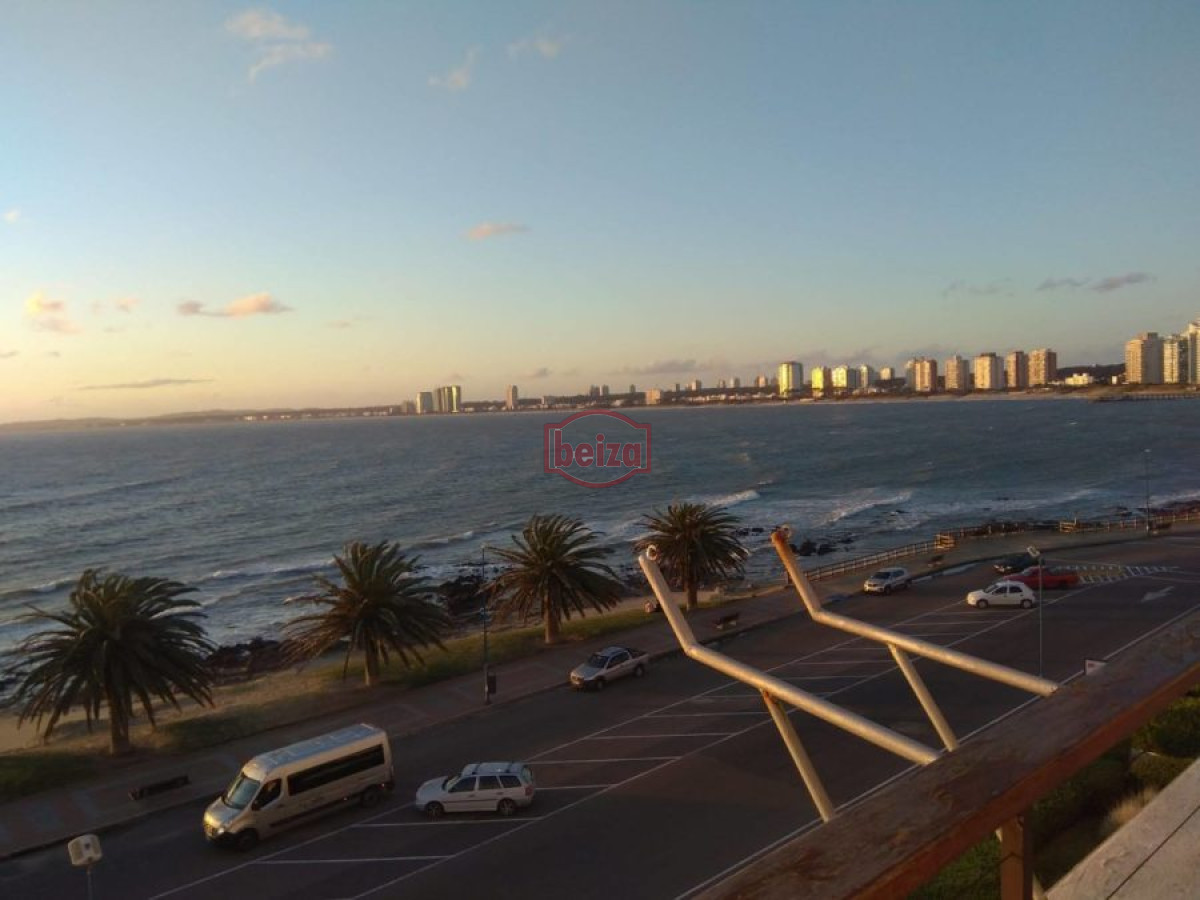 Propiedad - GoPunta - Portal Inmobiliario de Punta del Este - Maldonado