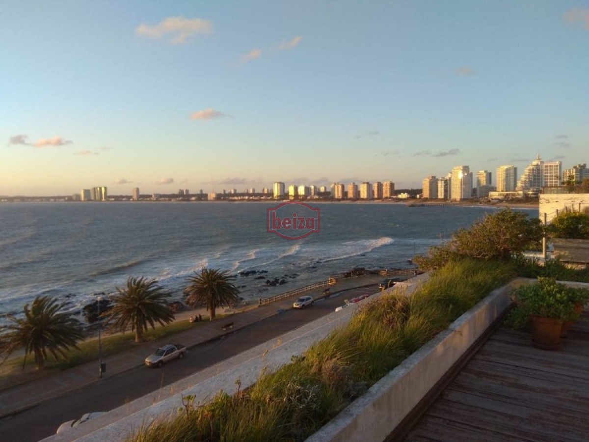 Propiedad - GoPunta - Portal Inmobiliario de Punta del Este - Maldonado