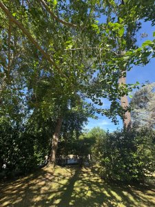 casa en venta ideal todo el año