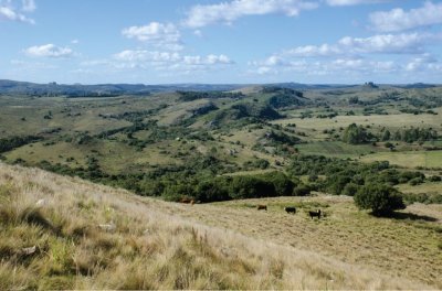 Fraccionamiento ... Cumbres de la Ramallo ... Chacra 43