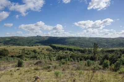 Fraccionamiento ... Cumbres de la Ramallo ... Chacra 16