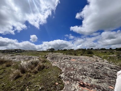 Venta chacra 3 ha proximo ruta 39 Punta del Este