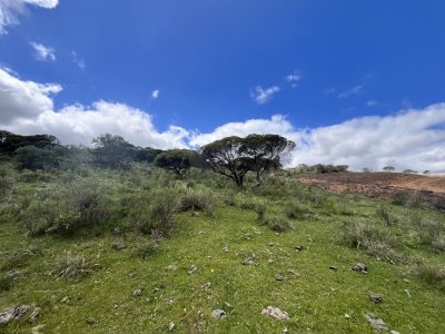 Venta chacra 3ha proximo ruta 39 Maldonado