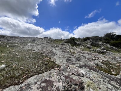 Venta chacra 3 ha proximo ruta 39 San Carlos Maldonado