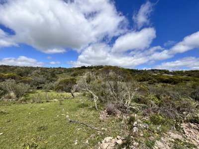 Venta chacra 3 ha proximo ruta 39 San Carlos Maldonado