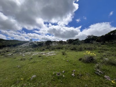 Venta chacra 3 ha proximo ruta 39 San Carlos Maldonado