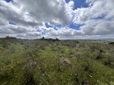 Venta chacra 4,5 ha proximo a ruta 39 Maldonado