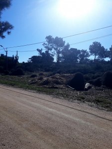 Terreno próximo a la costa en Piedras del Chileno