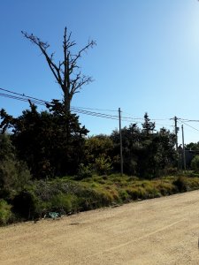 Terreno próximo a la costa en Piedras del Chileno