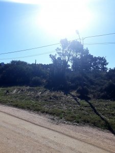 Terreno apto para edificio, en Piedras del Chileno