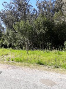 Terreno apto para Propiedad  Horizontal en Rincón del Indio 