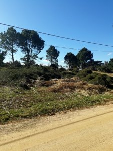 Terreno apto para edificio, en Piedras del Chileno