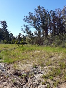 Terreno apto para Propiedad  Horizontal en Rincón del Indio 