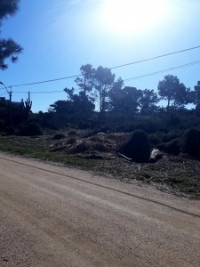 Terreno apto para edificio, en Piedras del Chileno