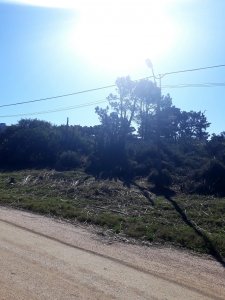 Terreno apto para edificio, en Piedras del Chileno